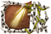 Title: Sanctuary Seeker Title: Sanctuary Seeker